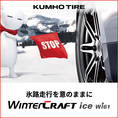ウィンタークラフトアイスwi61