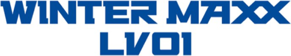 WINTER MAXX LV01 for VAN